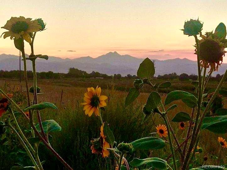 2832 County Road 20 Longmont CO 80504