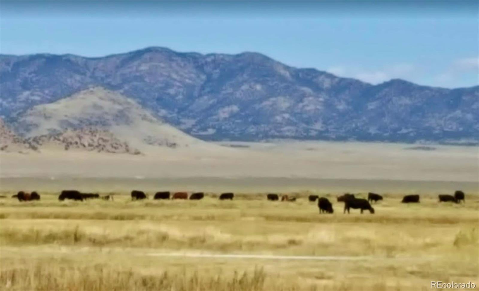 51781 County Road X Saguache CO 81149