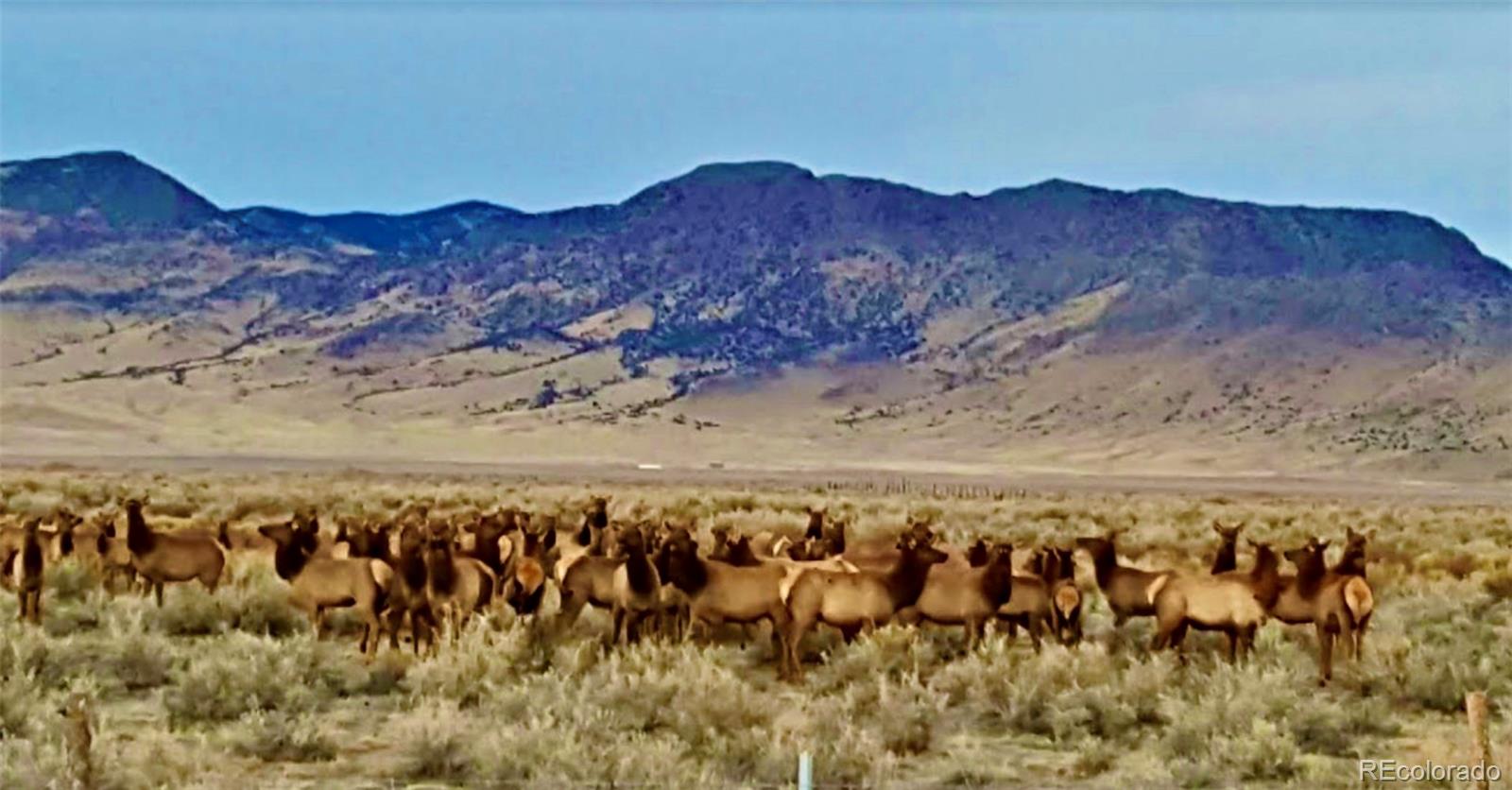 51781 County Road X Saguache CO 81149