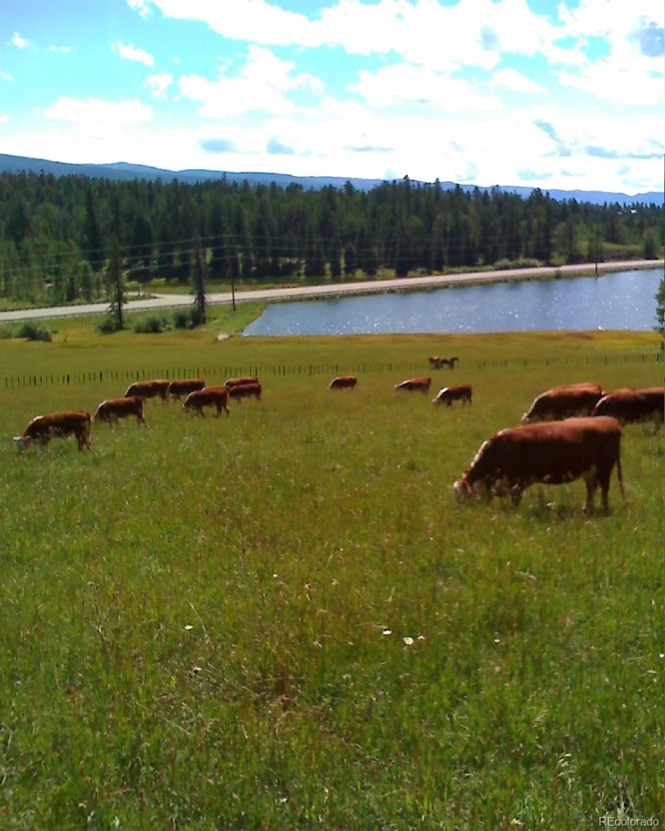 47632 N Us Highway 550 Durango CO 81301