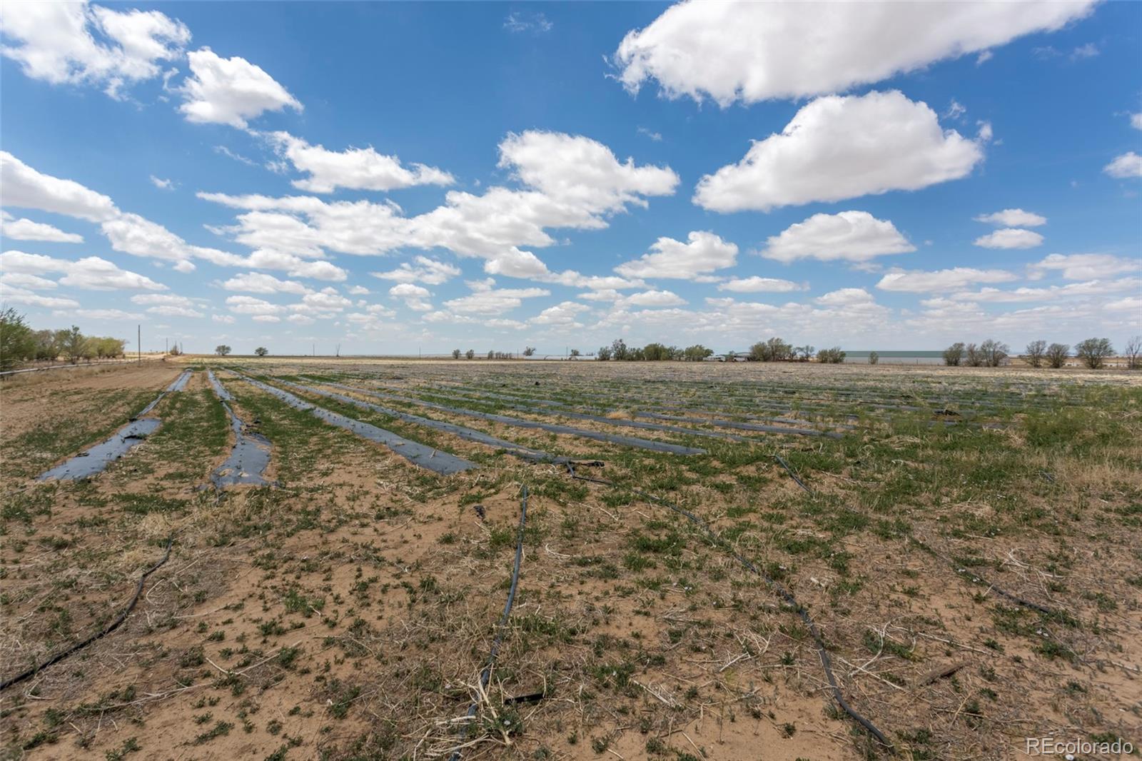 21550 Hanover Road Colorado Springs CO 80928