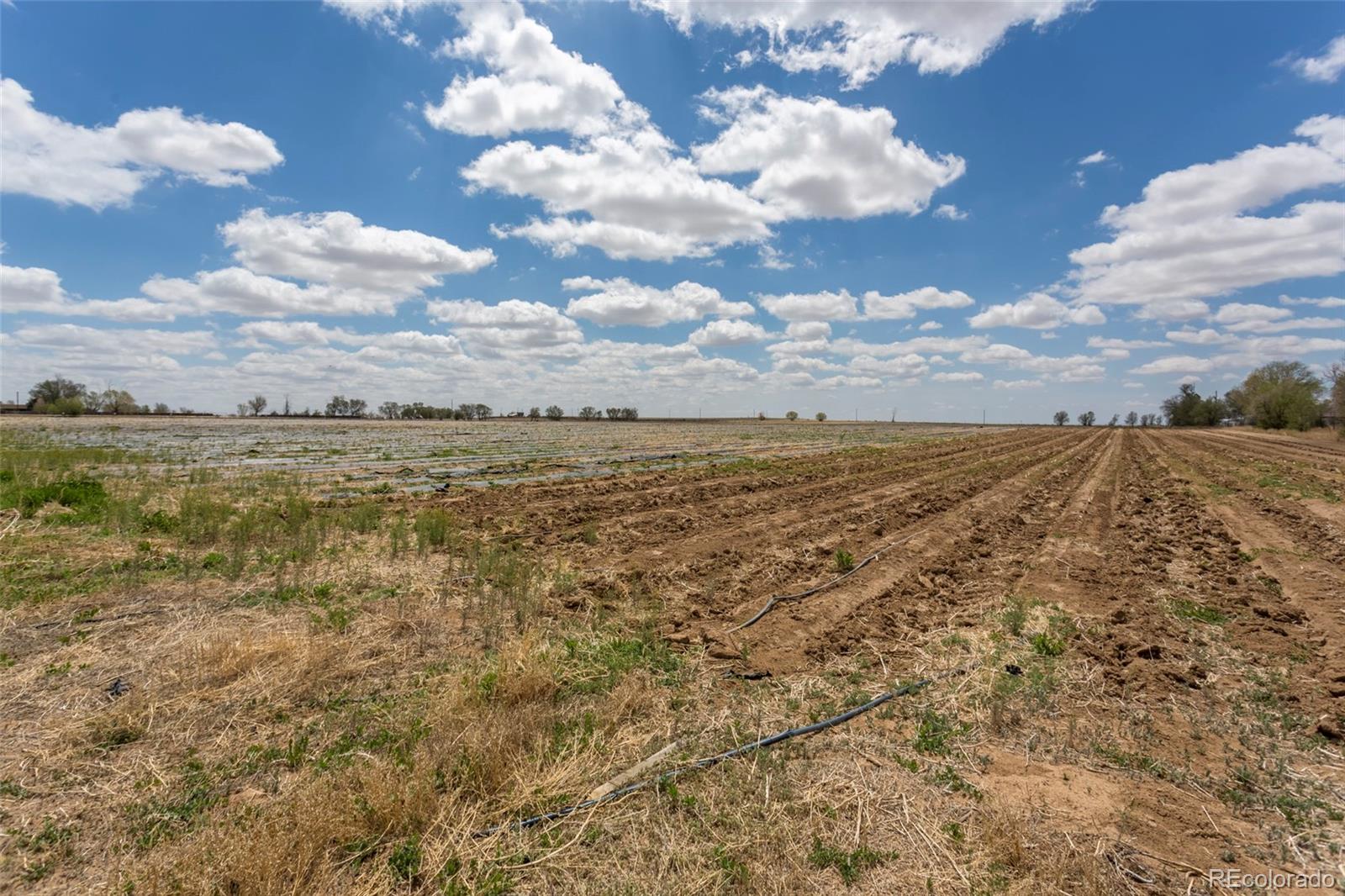 21550 Hanover Road Colorado Springs CO 80928