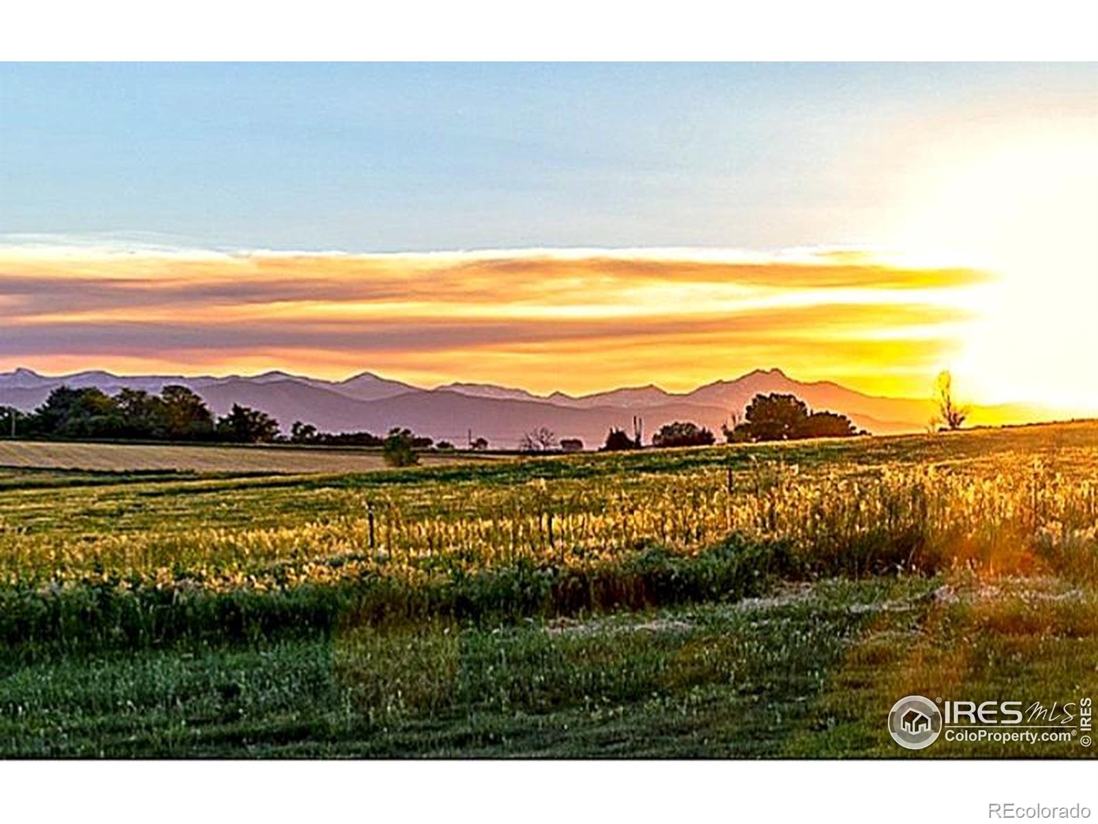 7770 County Road 1 Longmont CO 80504