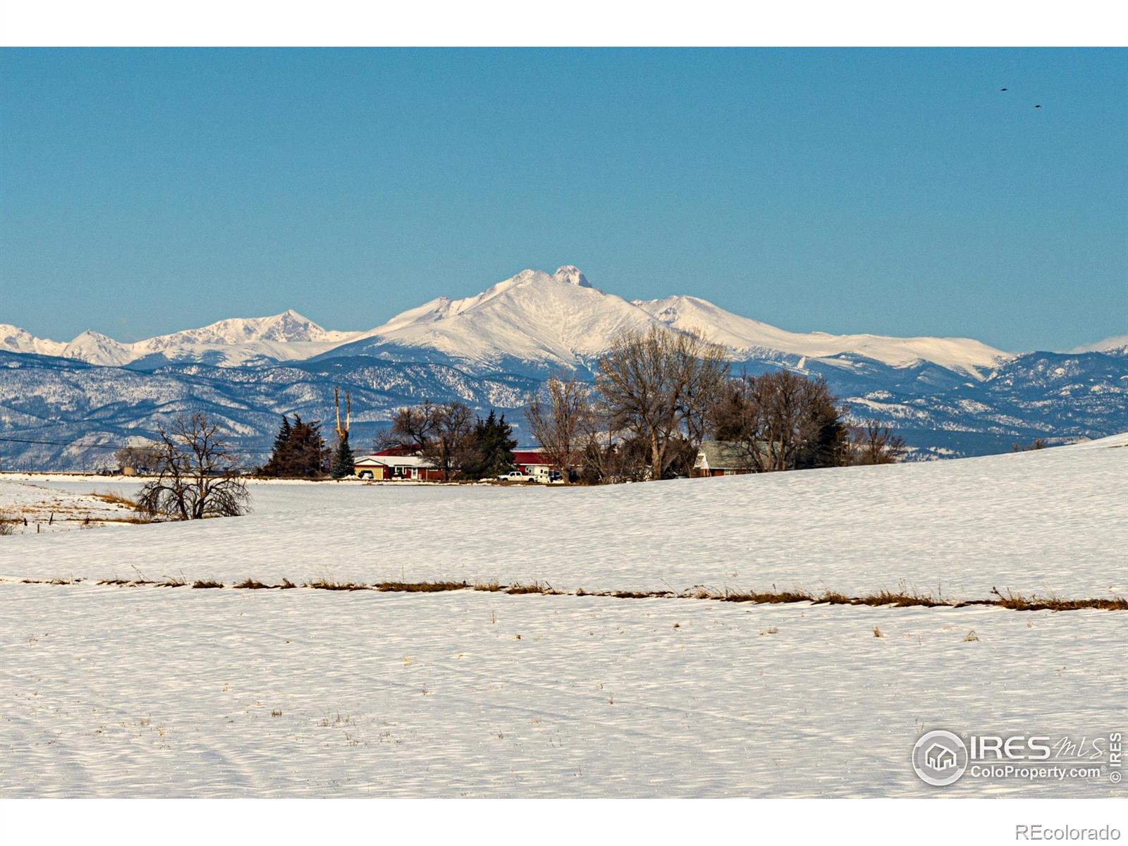 7770 County Road 1 Longmont CO 80504