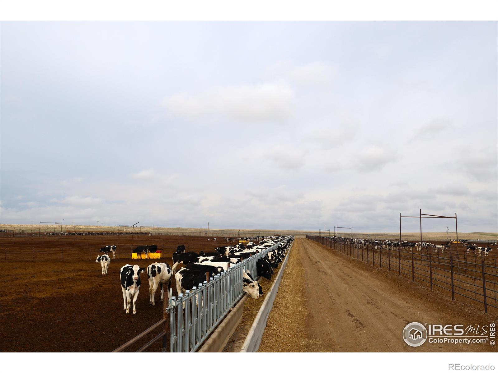 11905 County Road 5 Merino CO 80741
