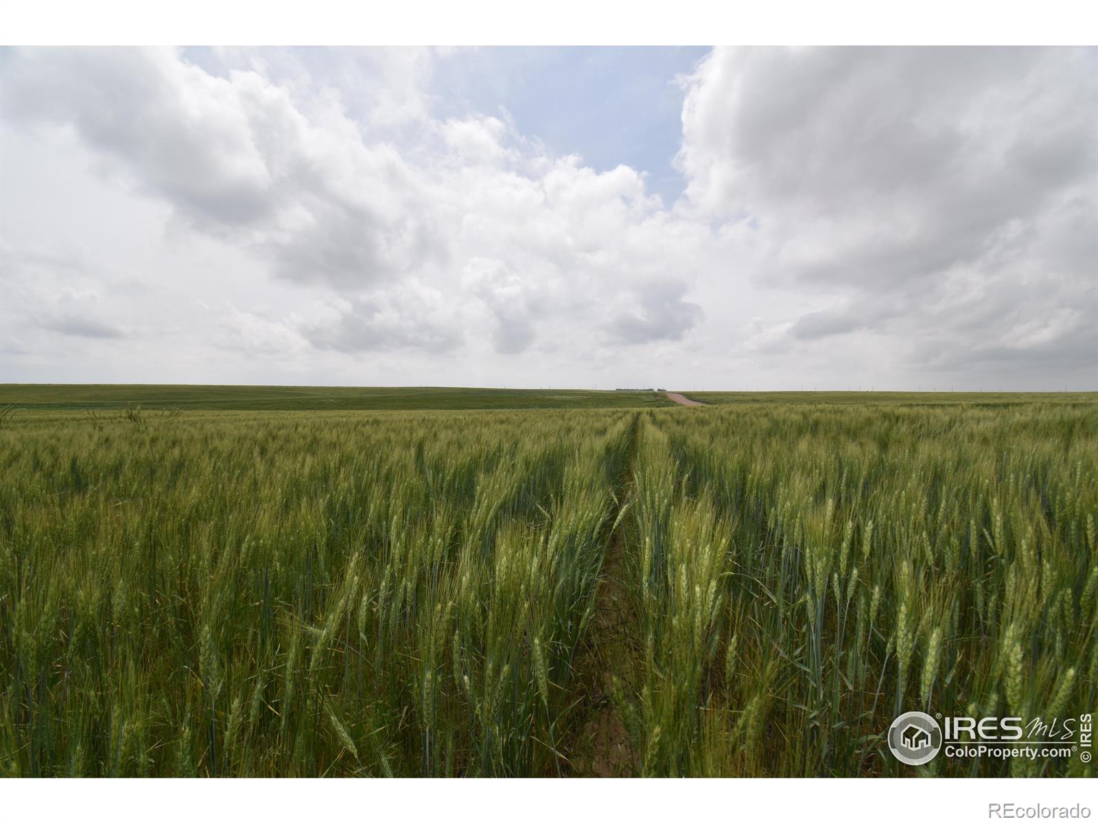 County Road 57 Yuma CO 80759