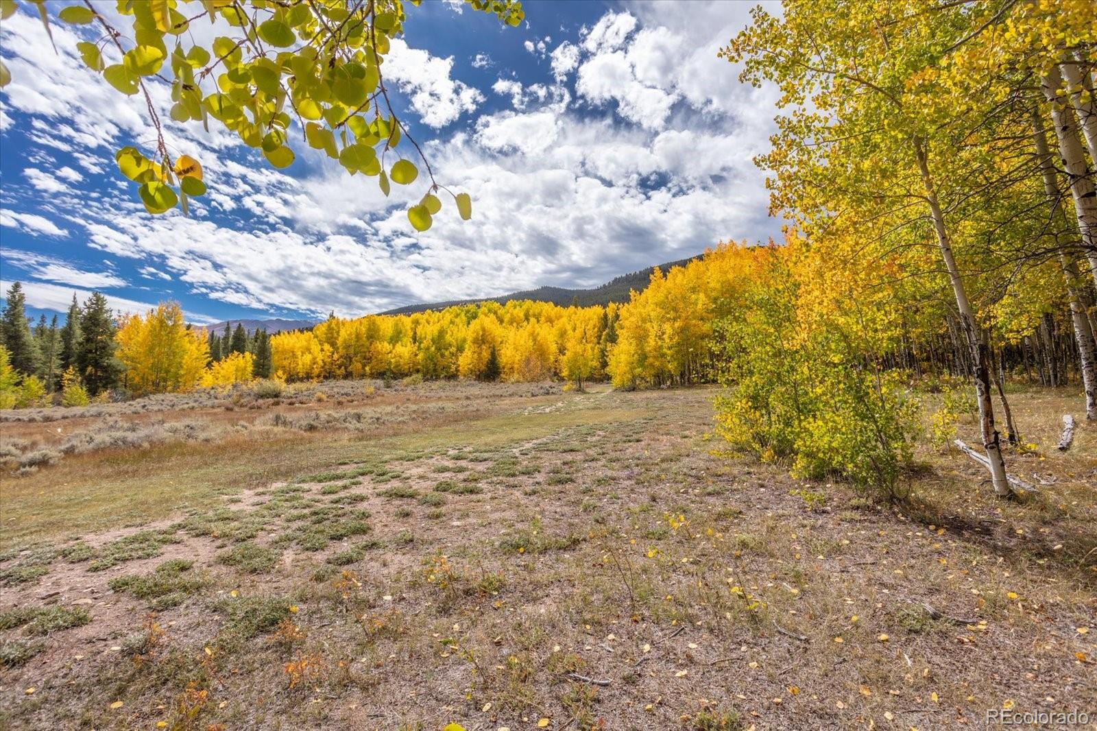 000 Tbd County Road 28a Twin Lakes CO 81251