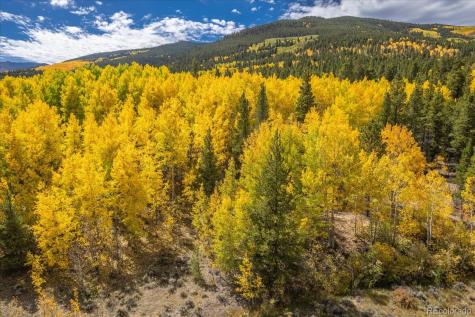 000 Tbd County Road 28a Twin Lakes CO 81251