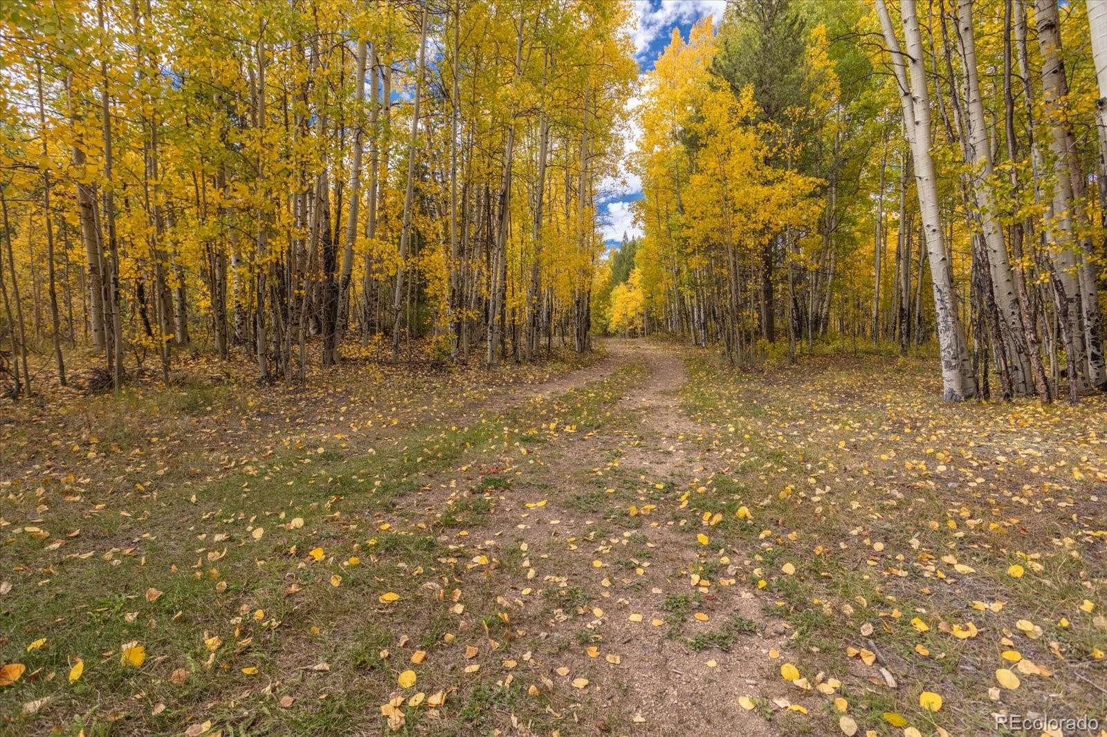 000 Tbd County Road 28a Twin Lakes CO 81251