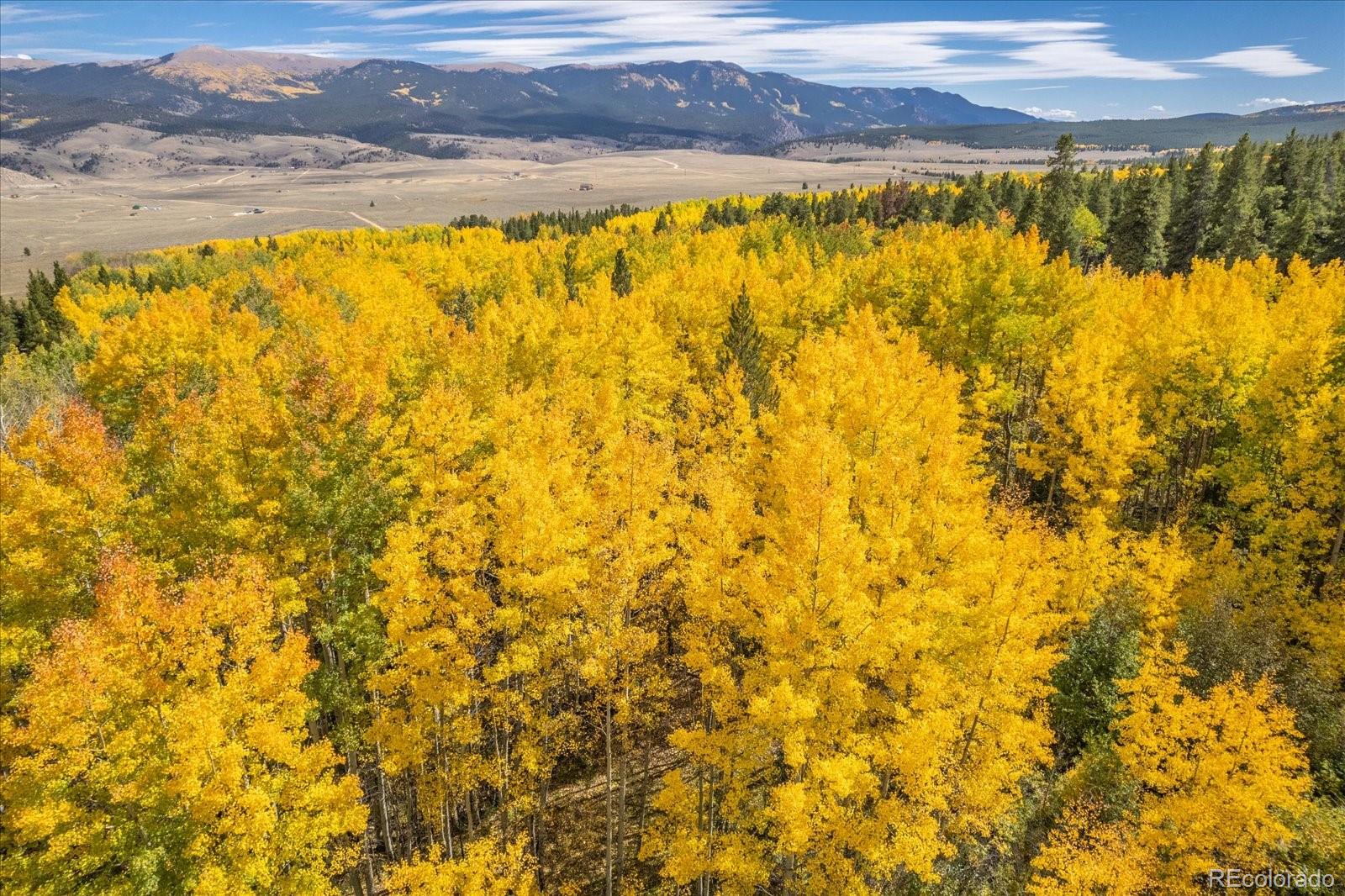 000 Tbd County Road 28a Twin Lakes CO 81251