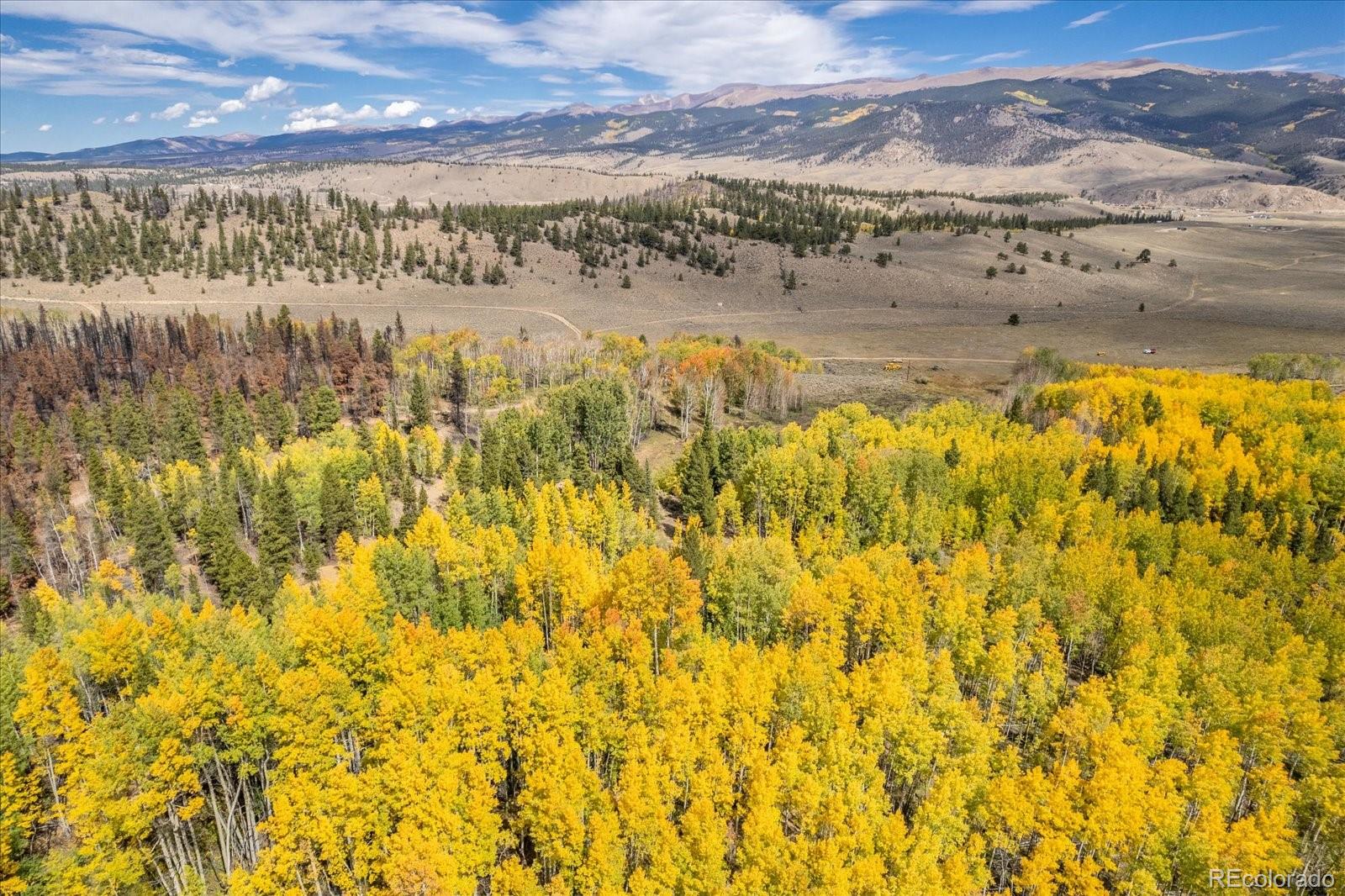 000 Tbd County Road 28a Twin Lakes CO 81251