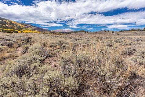 000 Tbd County Road 28a Twin Lakes CO 81251