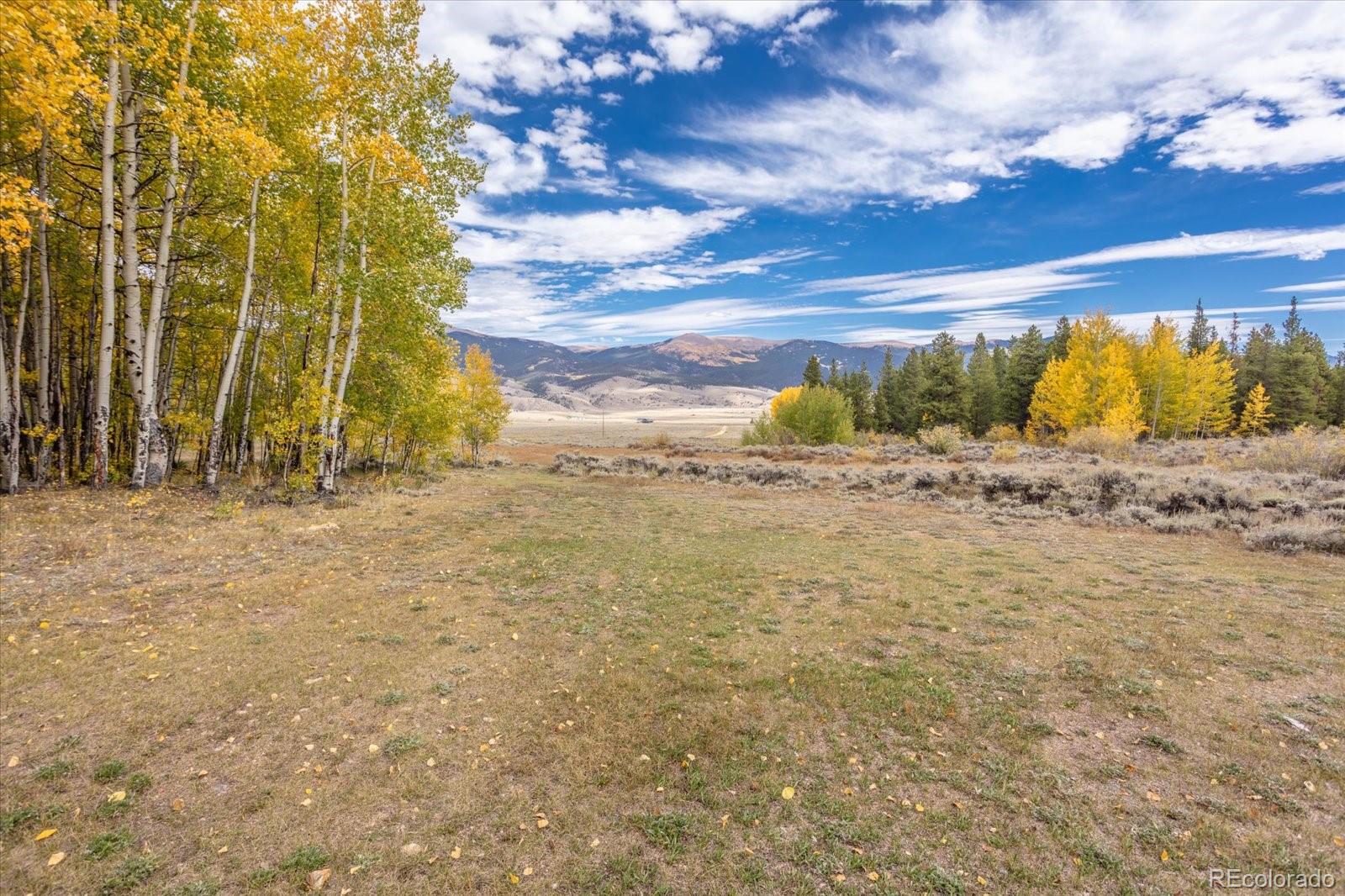 000 Tbd County Road 28a Twin Lakes CO 81251
