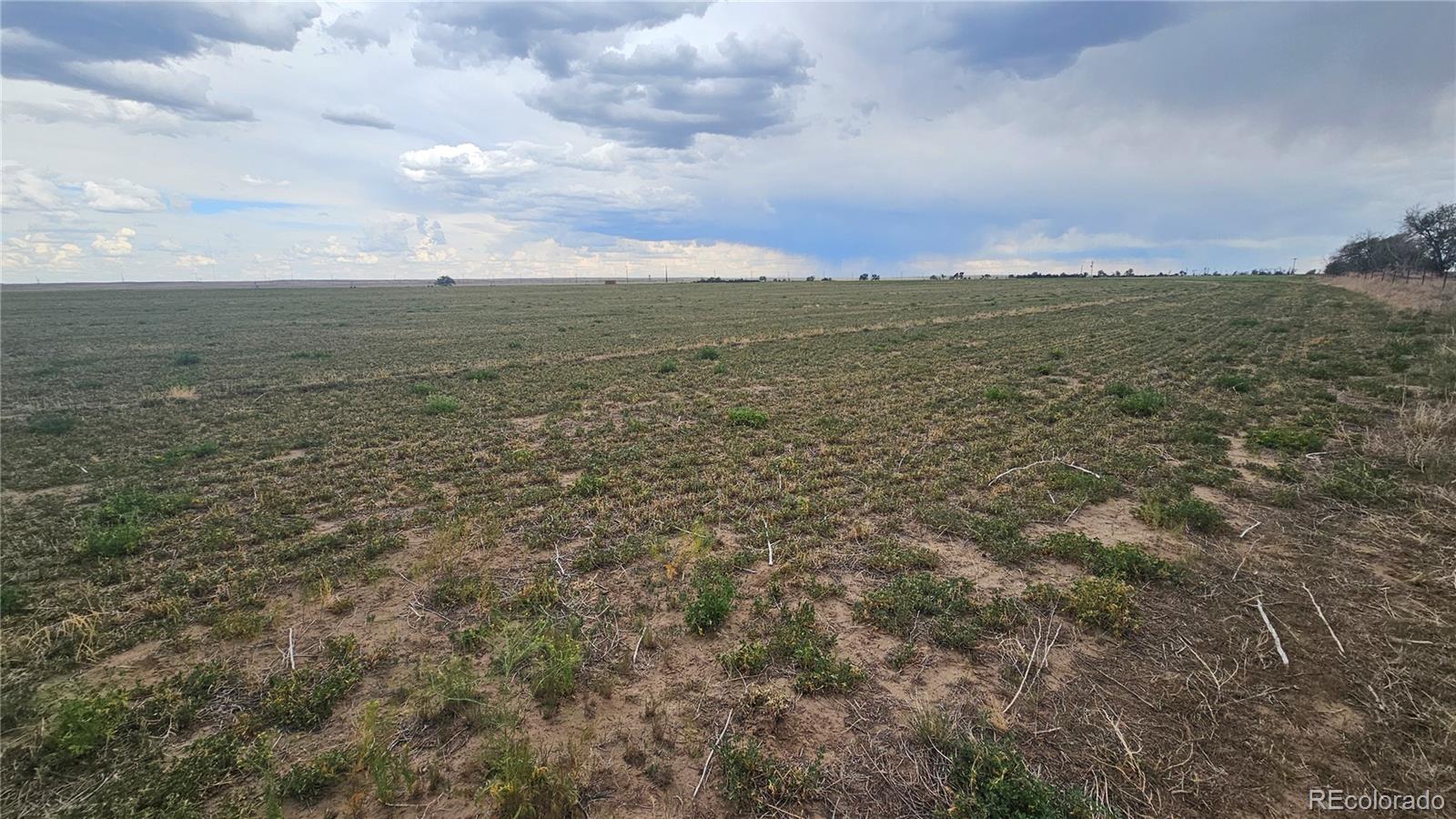 0 Tbd Wiggins CO 80654