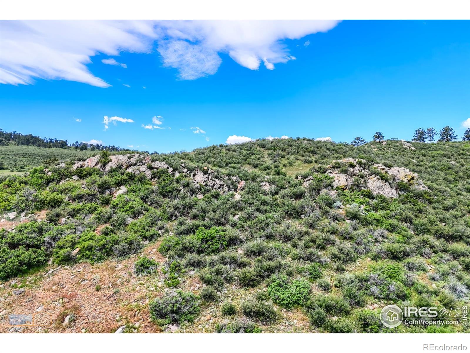 0 County Road 8e Berthoud CO 80513
