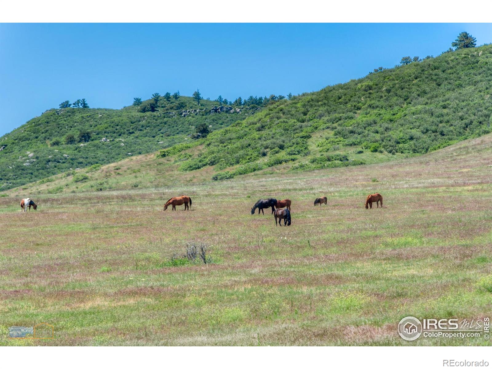0 County Road 8e Berthoud CO 80513