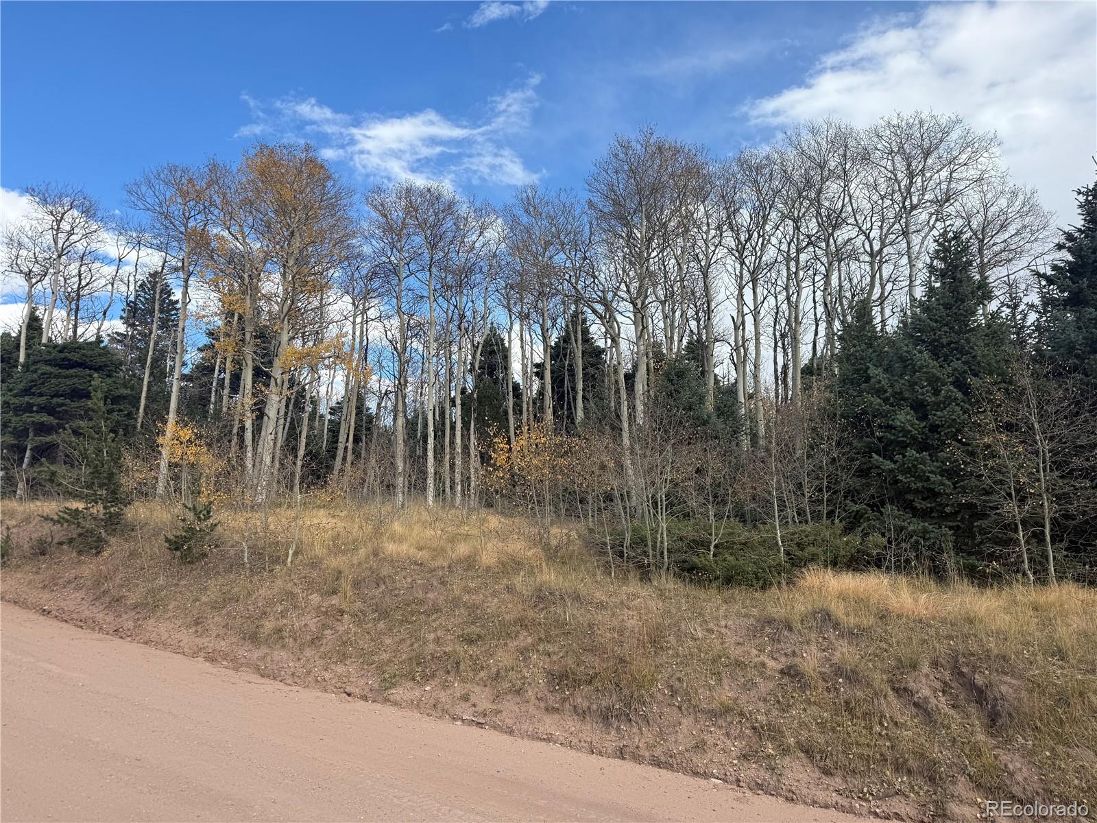2662 Petito Drive Fort Garland CO 81133