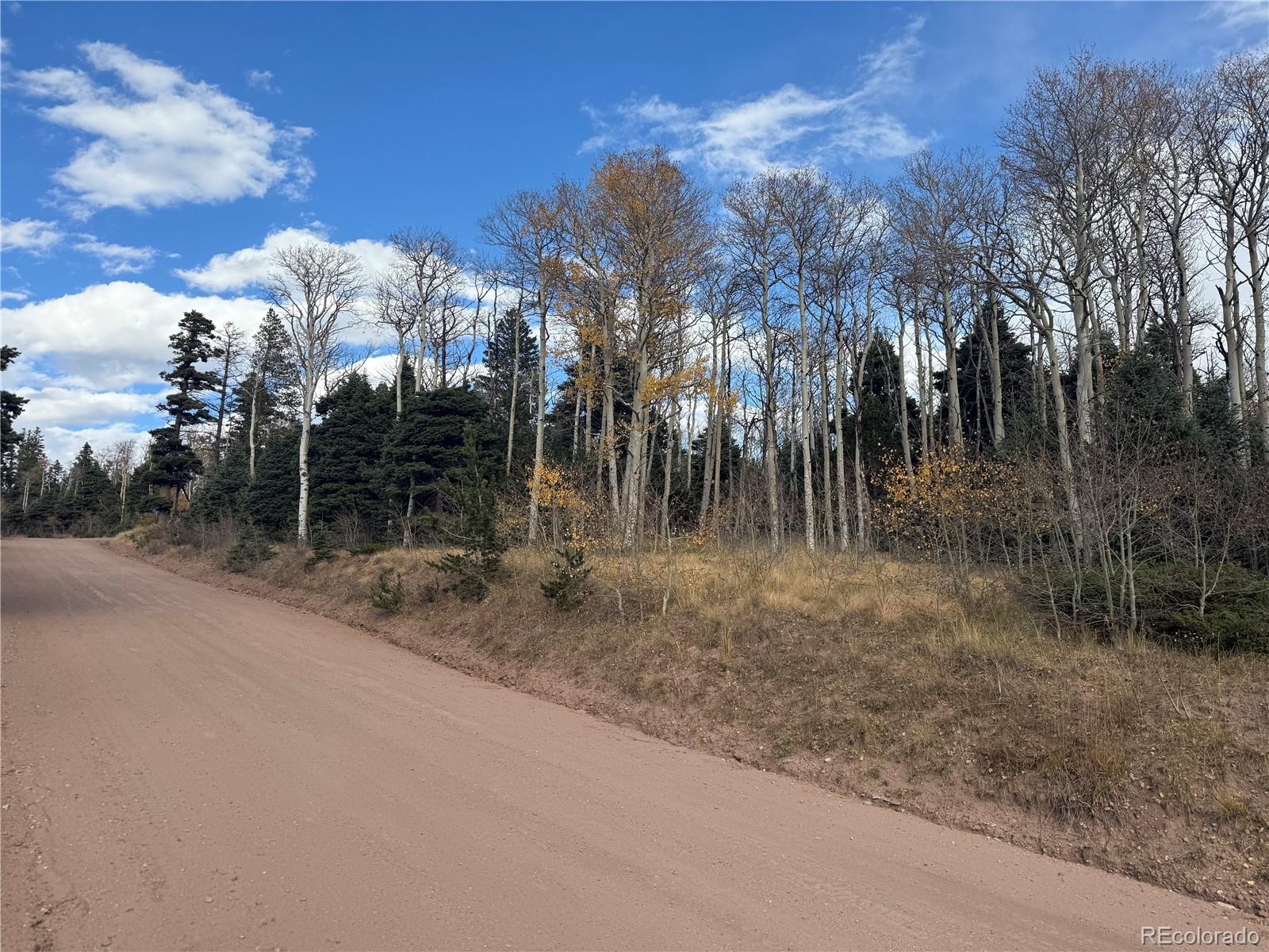 2662 Petito Drive Fort Garland CO 81133