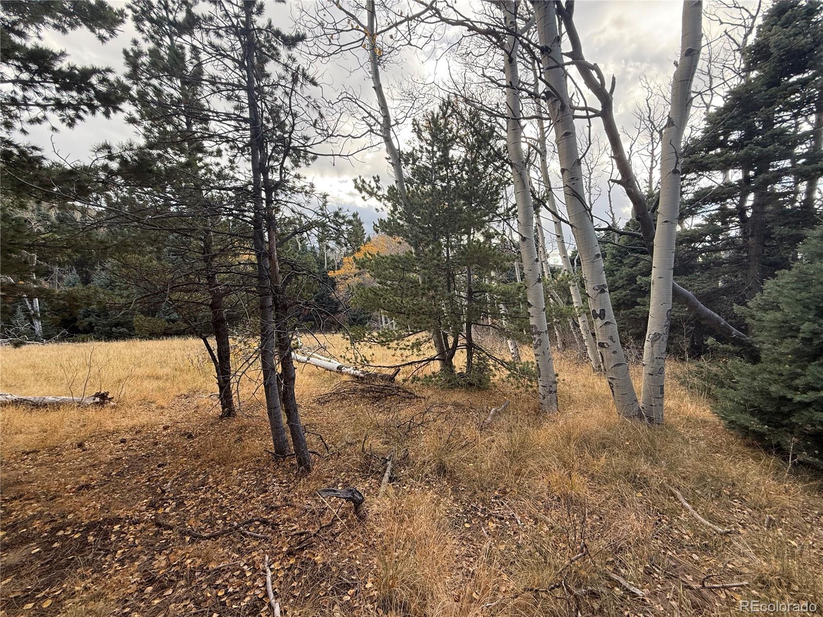 2662 Petito Drive Fort Garland CO 81133