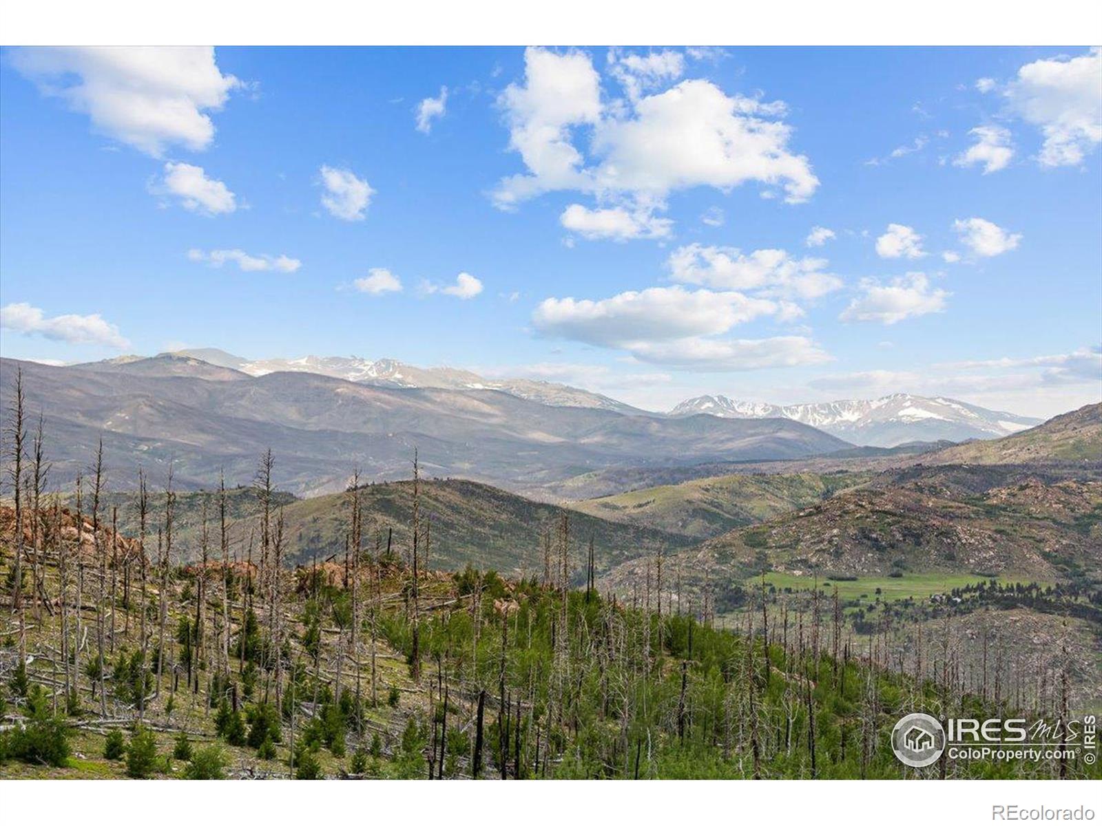 Tip Top Road Bellvue CO 80512