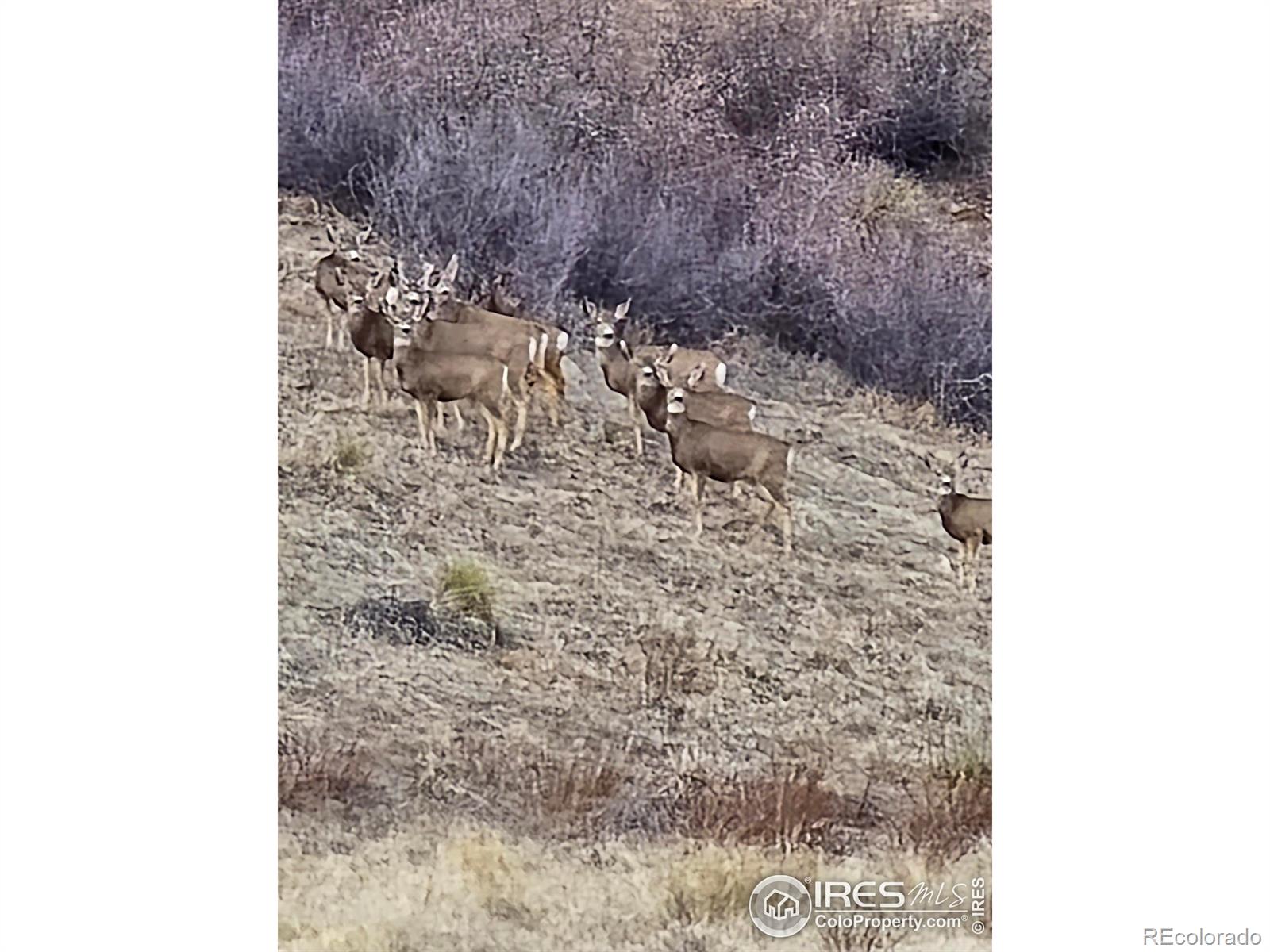 0 Beverly Drive Berthoud CO 80513