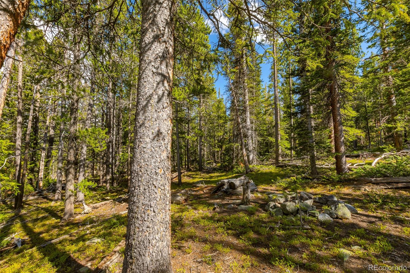 440 Gold Trail Circle Fairplay CO 80440