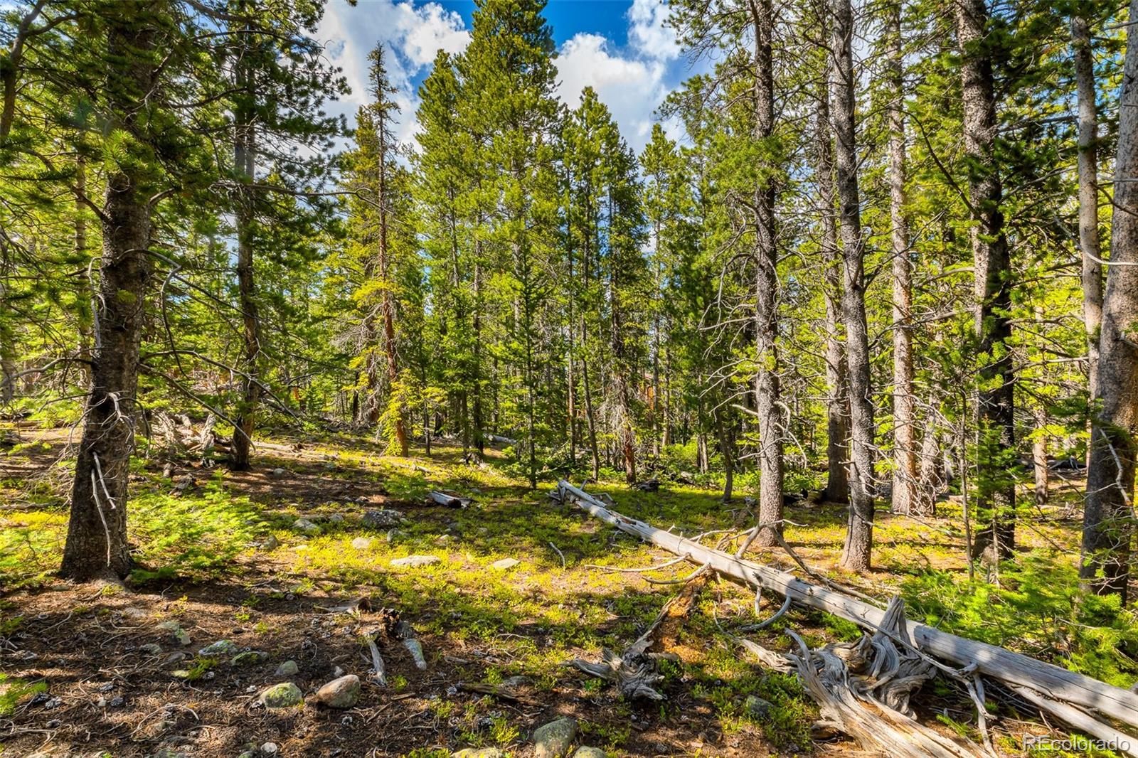 440 Gold Trail Circle Fairplay CO 80440