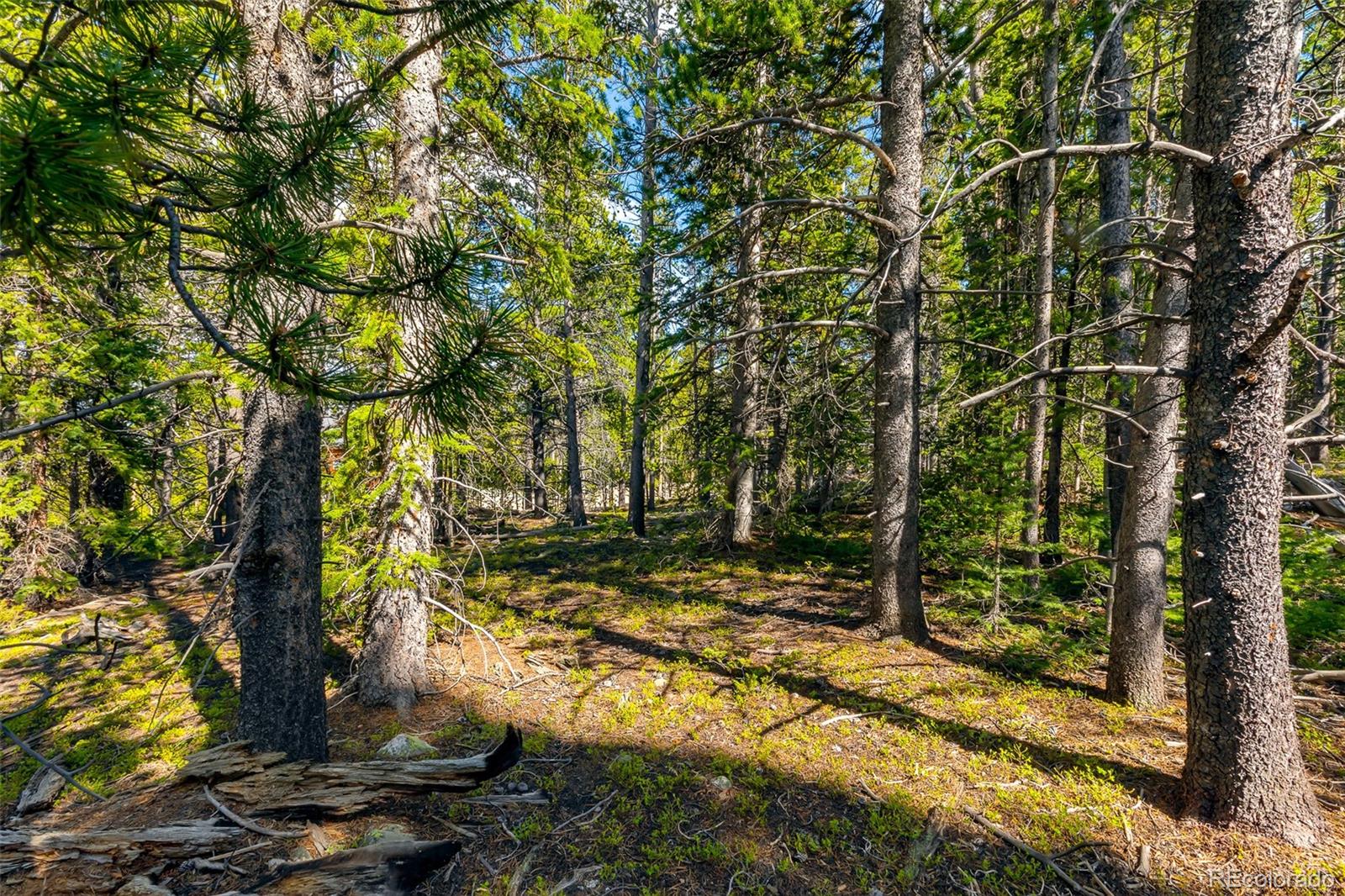 440 Gold Trail Circle Fairplay CO 80440