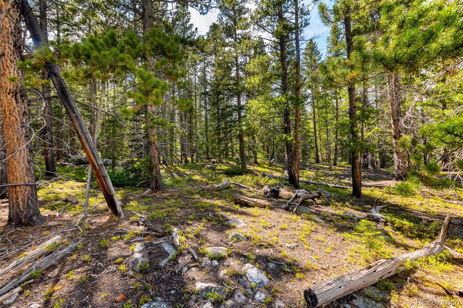 440 Gold Trail Circle Fairplay CO 80440