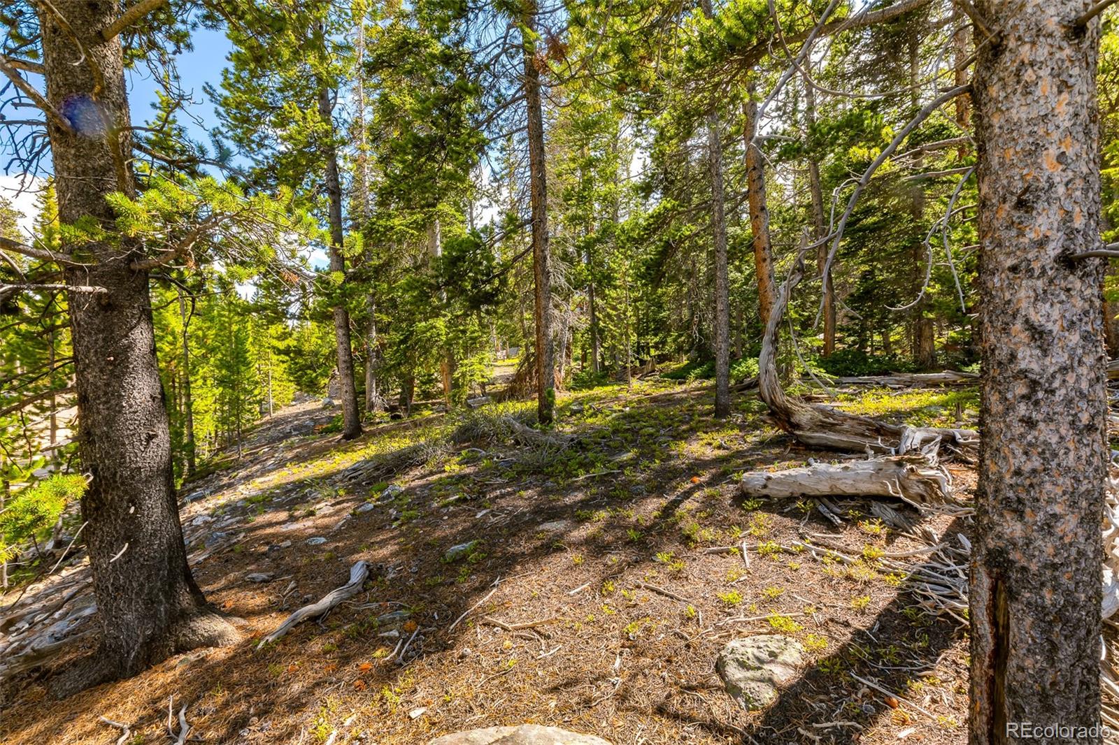 440 Gold Trail Circle Fairplay CO 80440