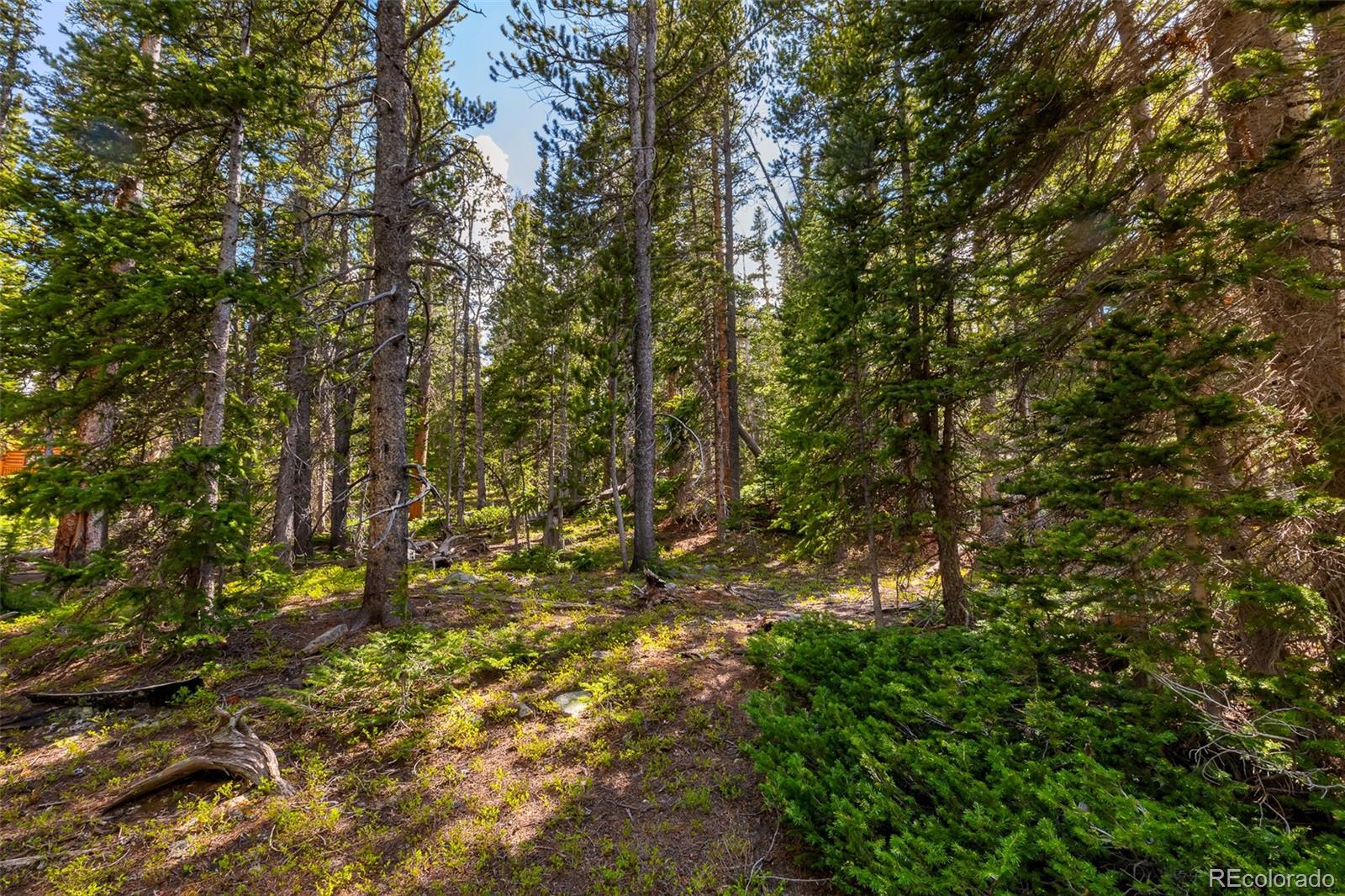 440 Gold Trail Circle Fairplay CO 80440
