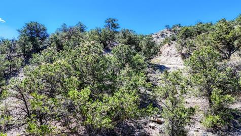 6542 County Road 110 Salida CO 81201