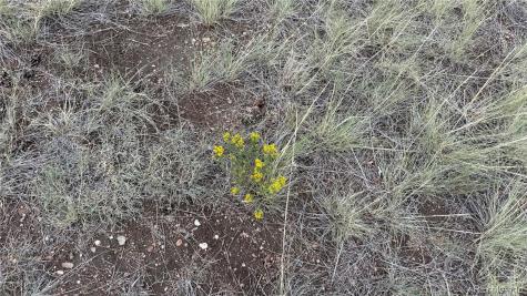 21st Trail Cotopaxi CO 81223