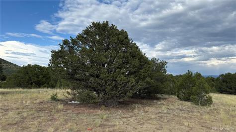 21st Trail Cotopaxi CO 81223