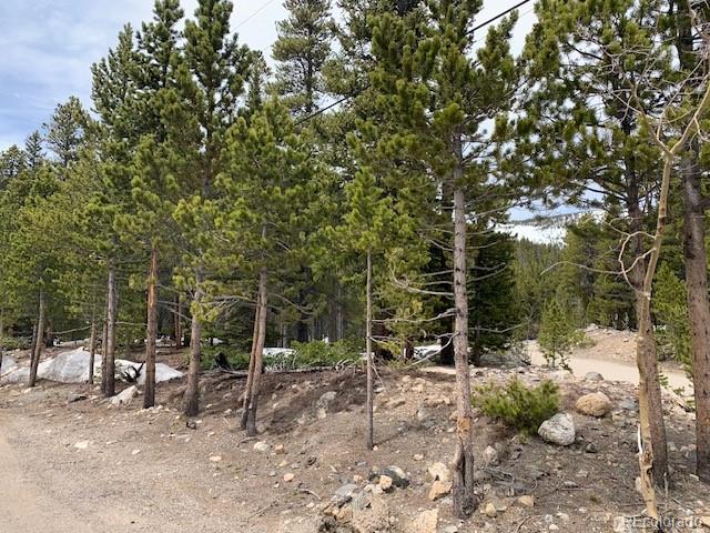 1090 Alice Road Idaho Springs CO 80452