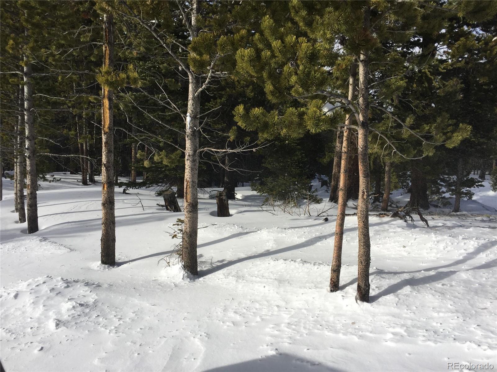 1090 Alice Road Idaho Springs CO 80452