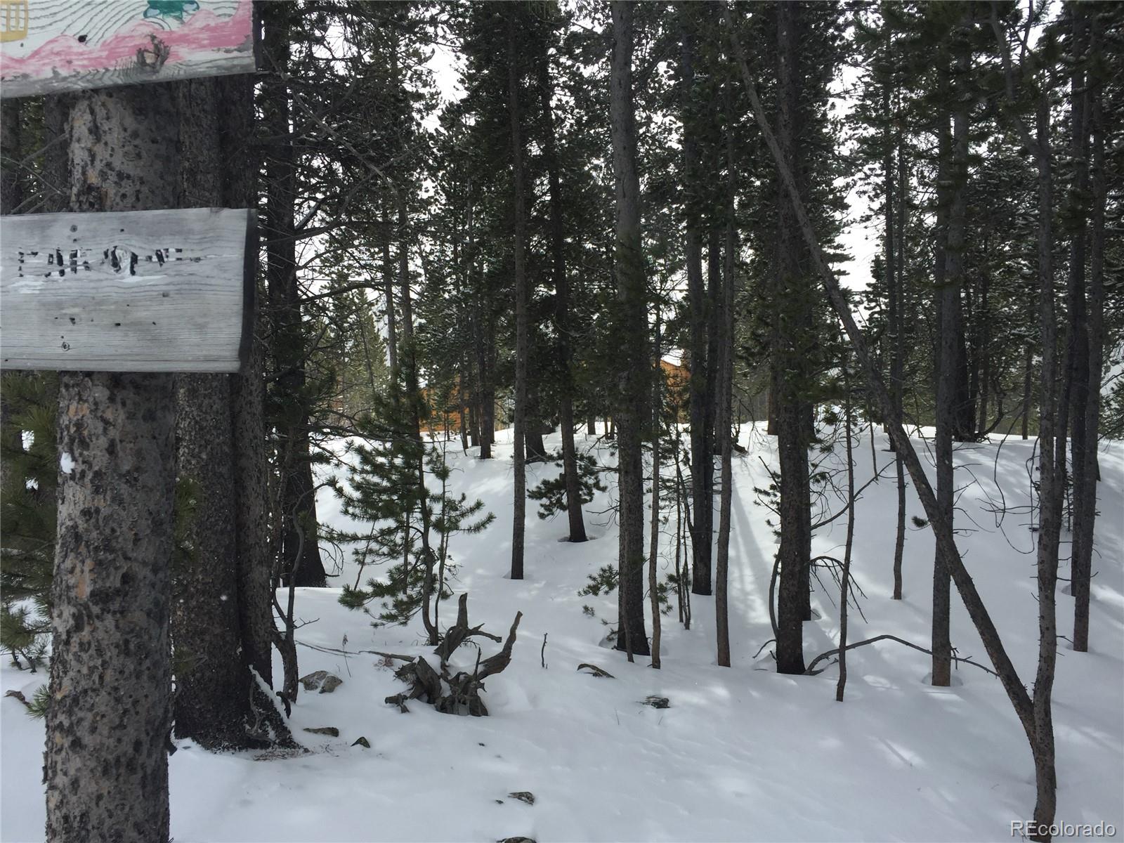 1090 Alice Road Idaho Springs CO 80452