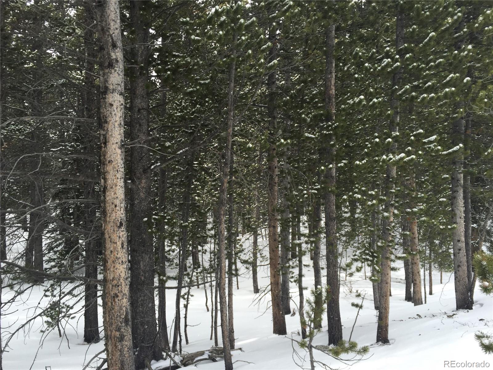 1090 Alice Road Idaho Springs CO 80452