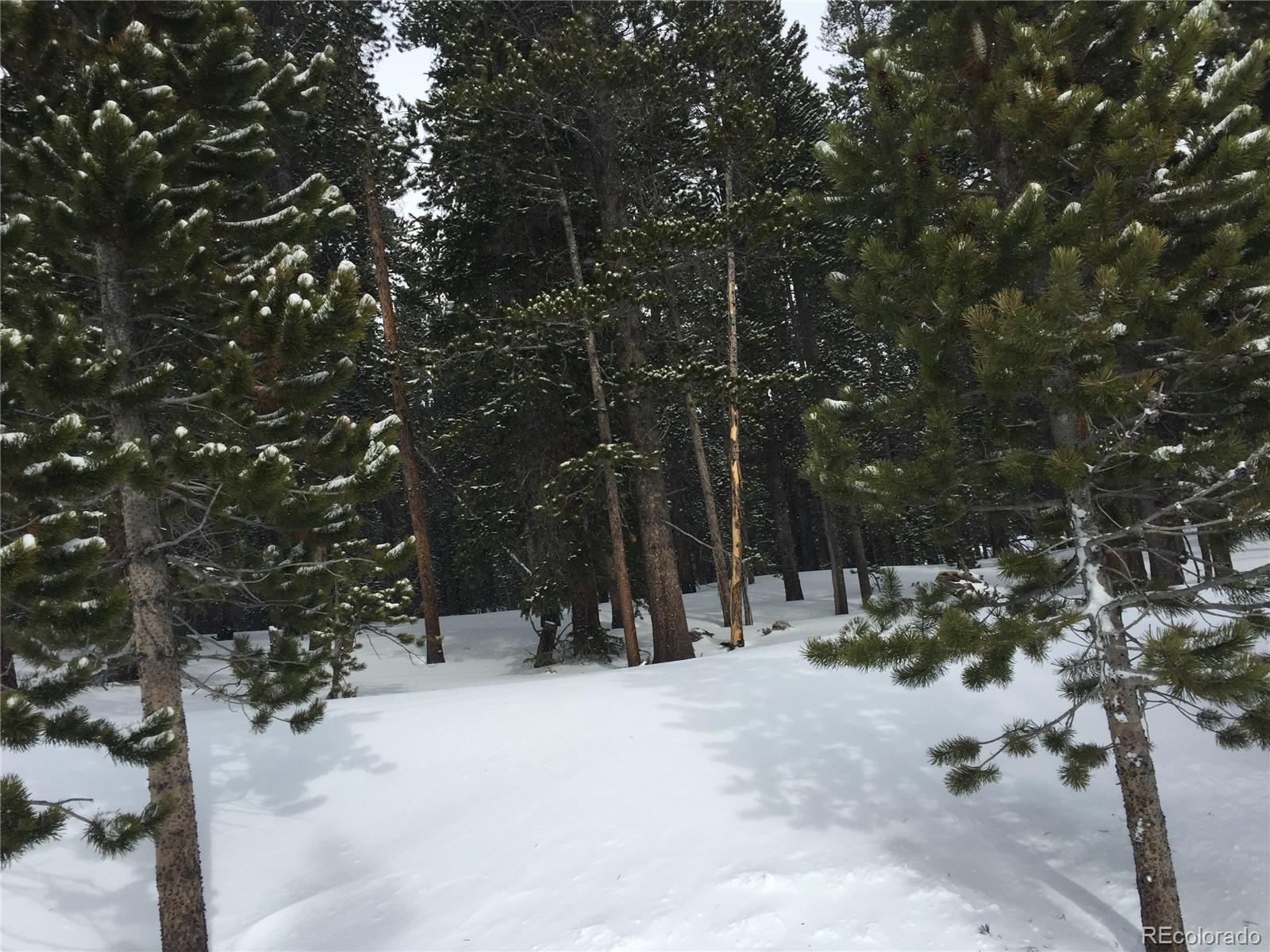 1090 Alice Road Idaho Springs CO 80452