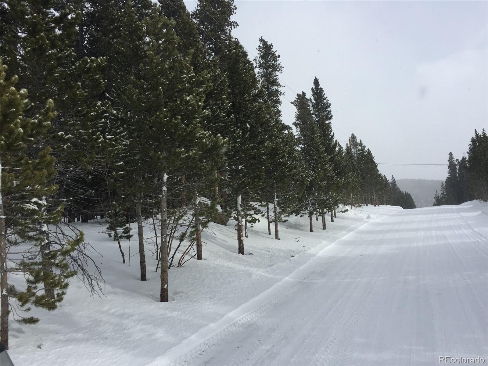 1090 Alice Road Idaho Springs CO 80452