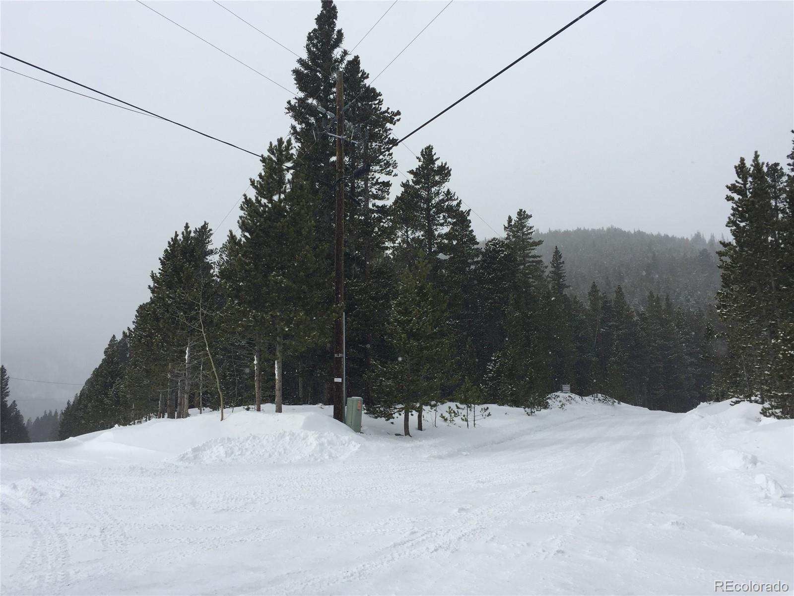 1090 Alice Road Idaho Springs CO 80452