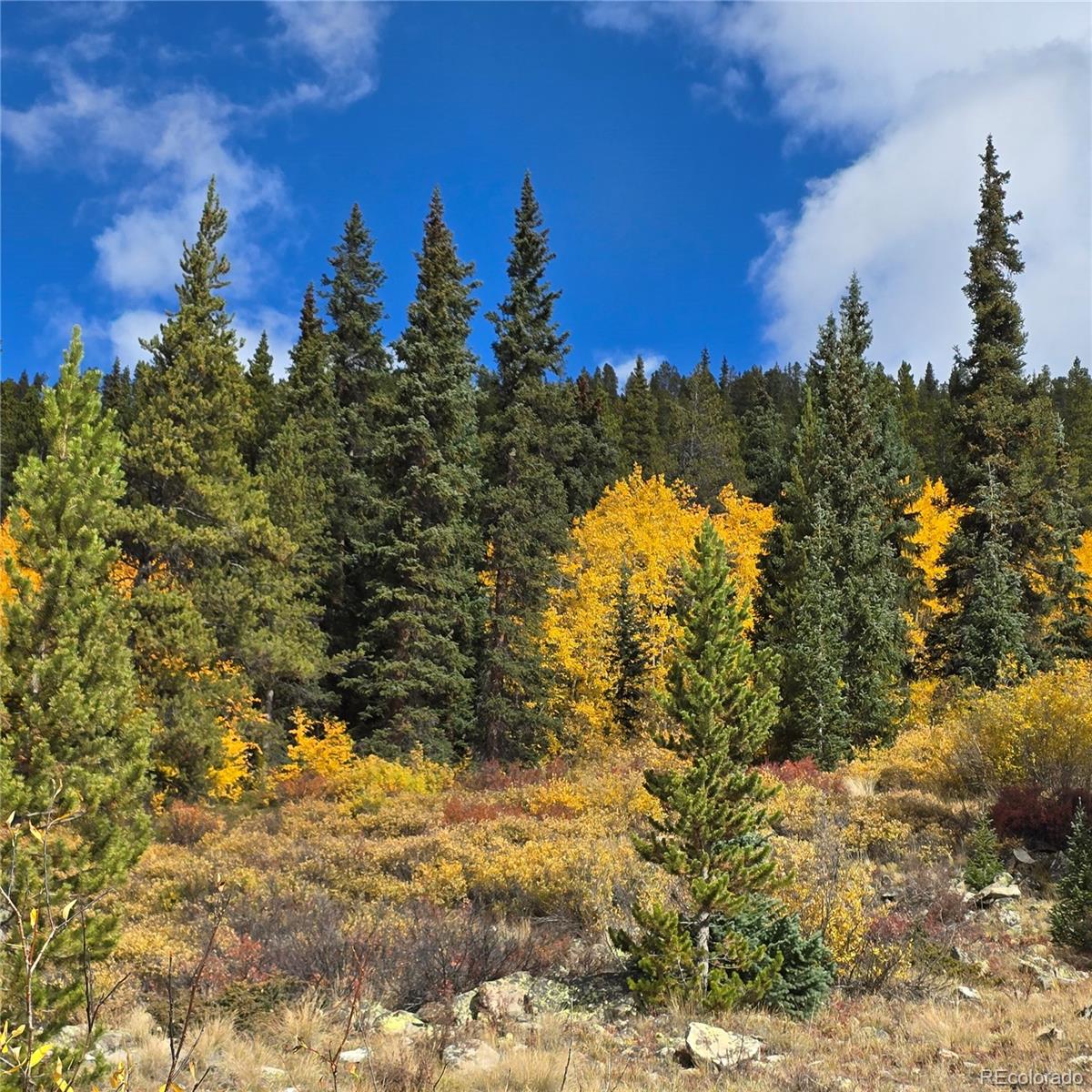 5347 Monitor Lode Claims Leadville CO 80461