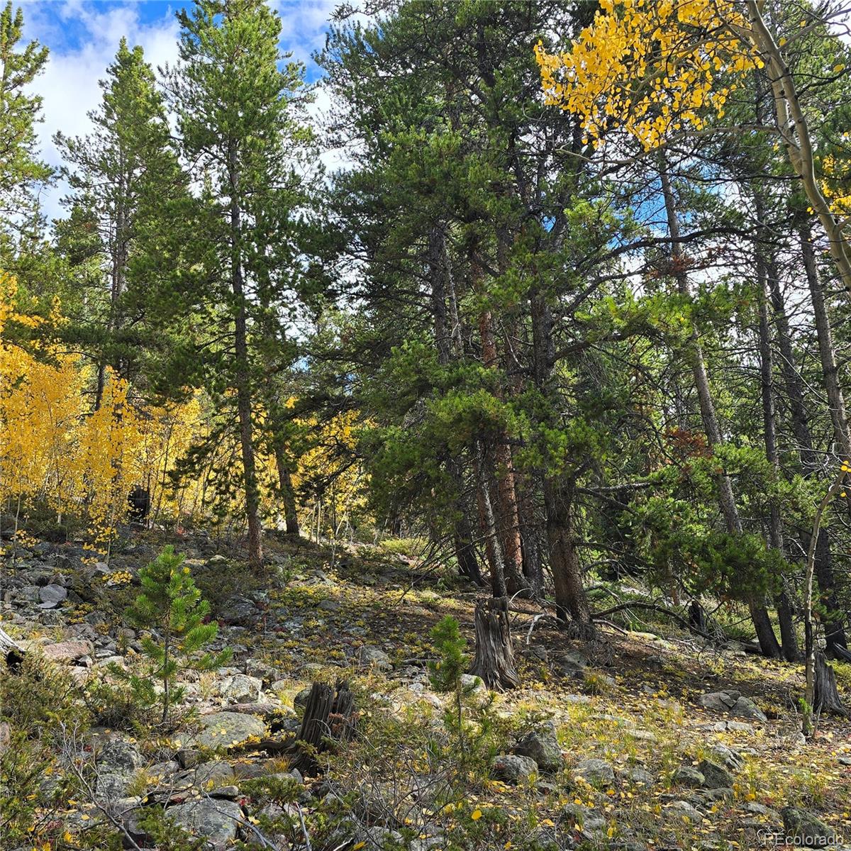 5347 Monitor Lode Claims Leadville CO 80461
