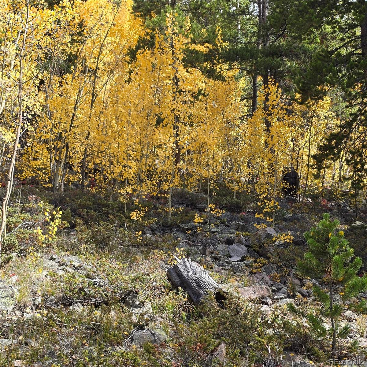 5347 Monitor Lode Claims Leadville CO 80461