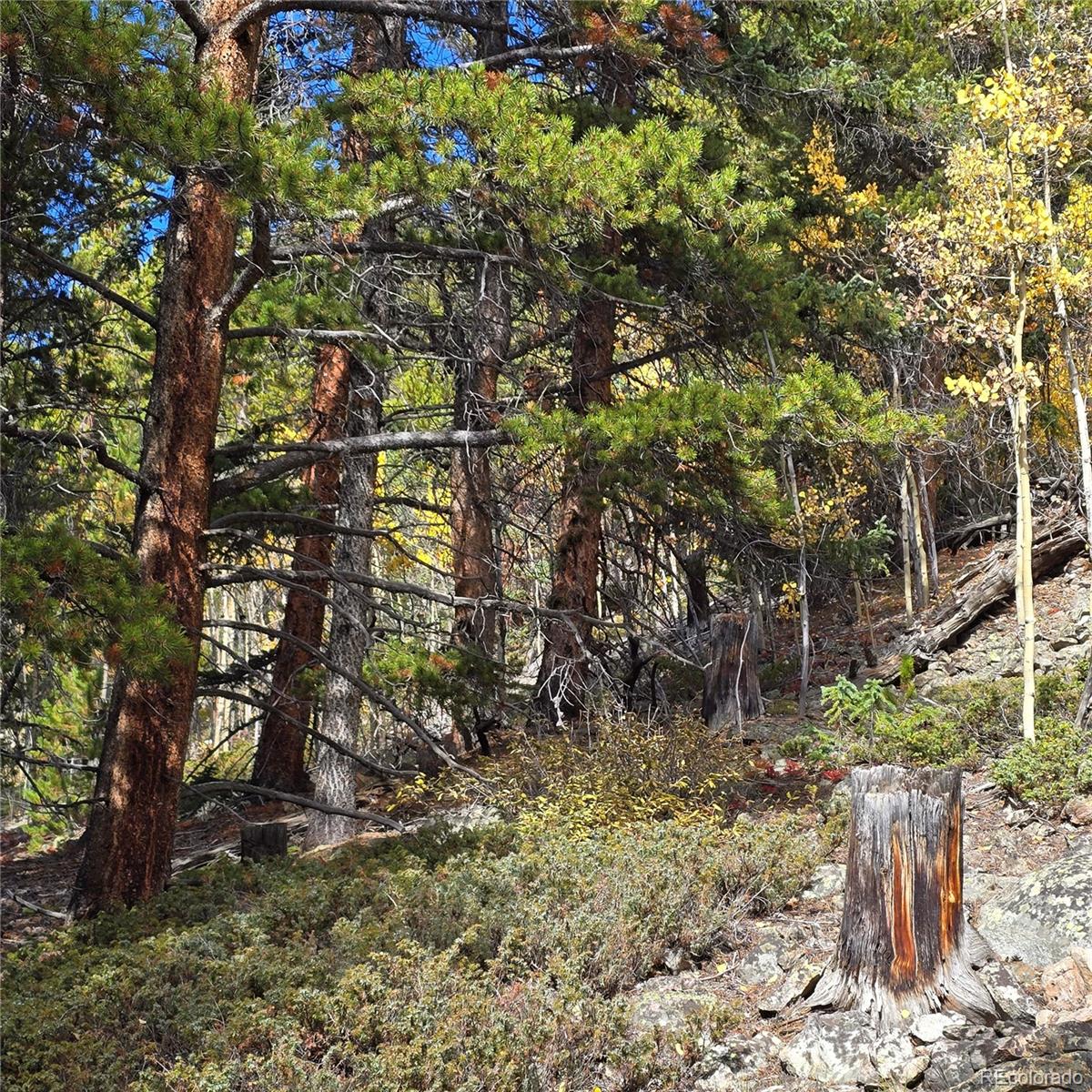5347 Monitor Lode Claims Leadville CO 80461