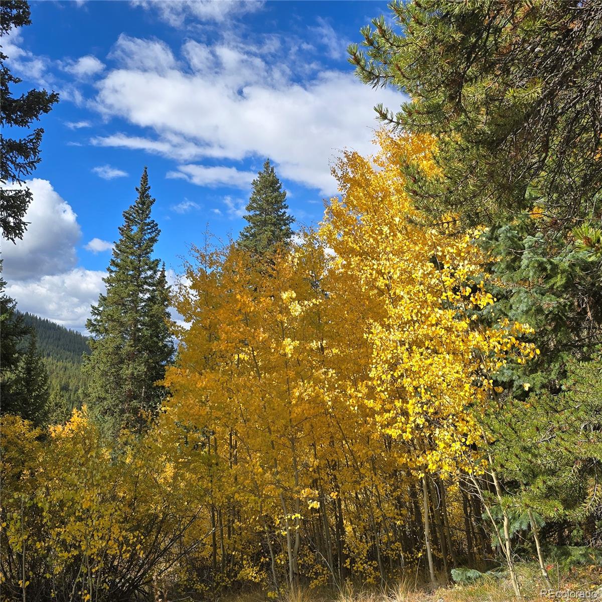 5347 Monitor Lode Claims Leadville CO 80461