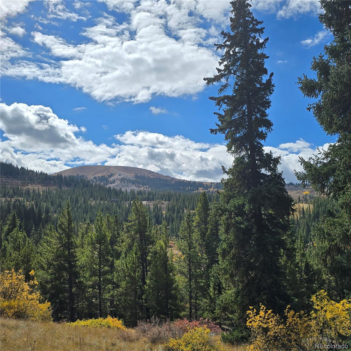 5347 Monitor Lode Claims Leadville CO 80461