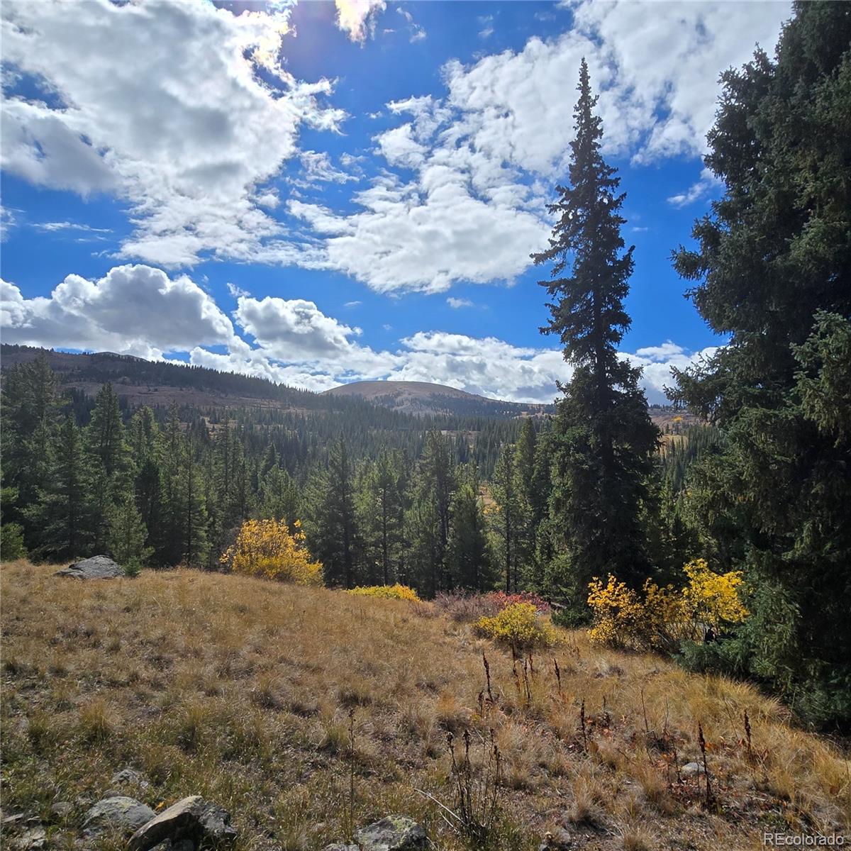 5347 Monitor Lode Claims Leadville CO 80461