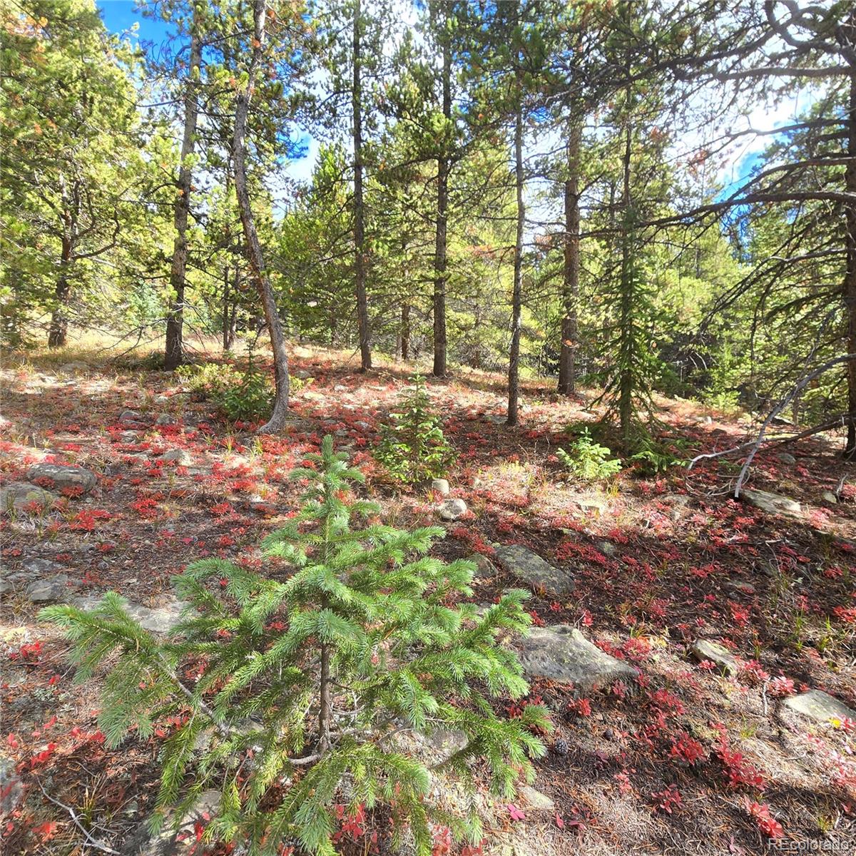 5347 Monitor Lode Claims Leadville CO 80461