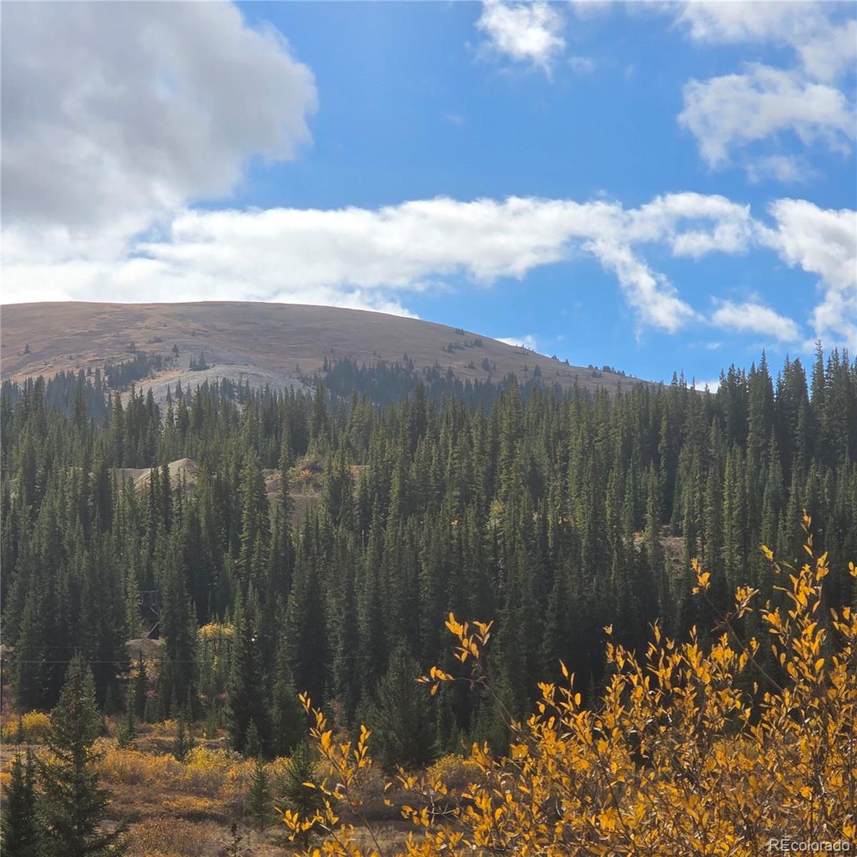 5347 Monitor Lode Claims Leadville CO 80461